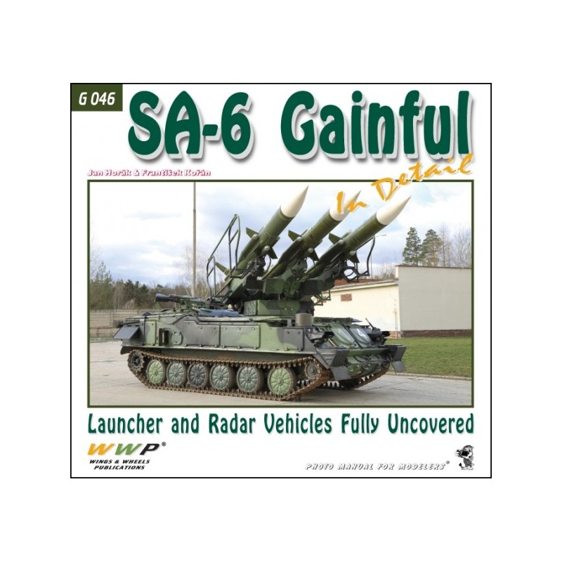 SA-6 GAINFUL in Detail