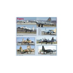 TOPGUN in Detail