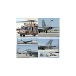 TOPGUN in Detail