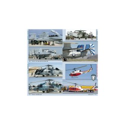 TOPGUN in Detail