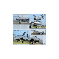 NATO Air Force Exercise in Detail