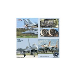 NATO Air Force Exercise in Detail