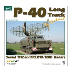 P-40 Long Track in Detail
